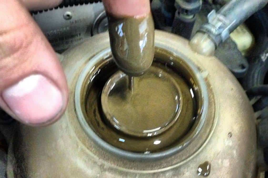 Oil in Coolant